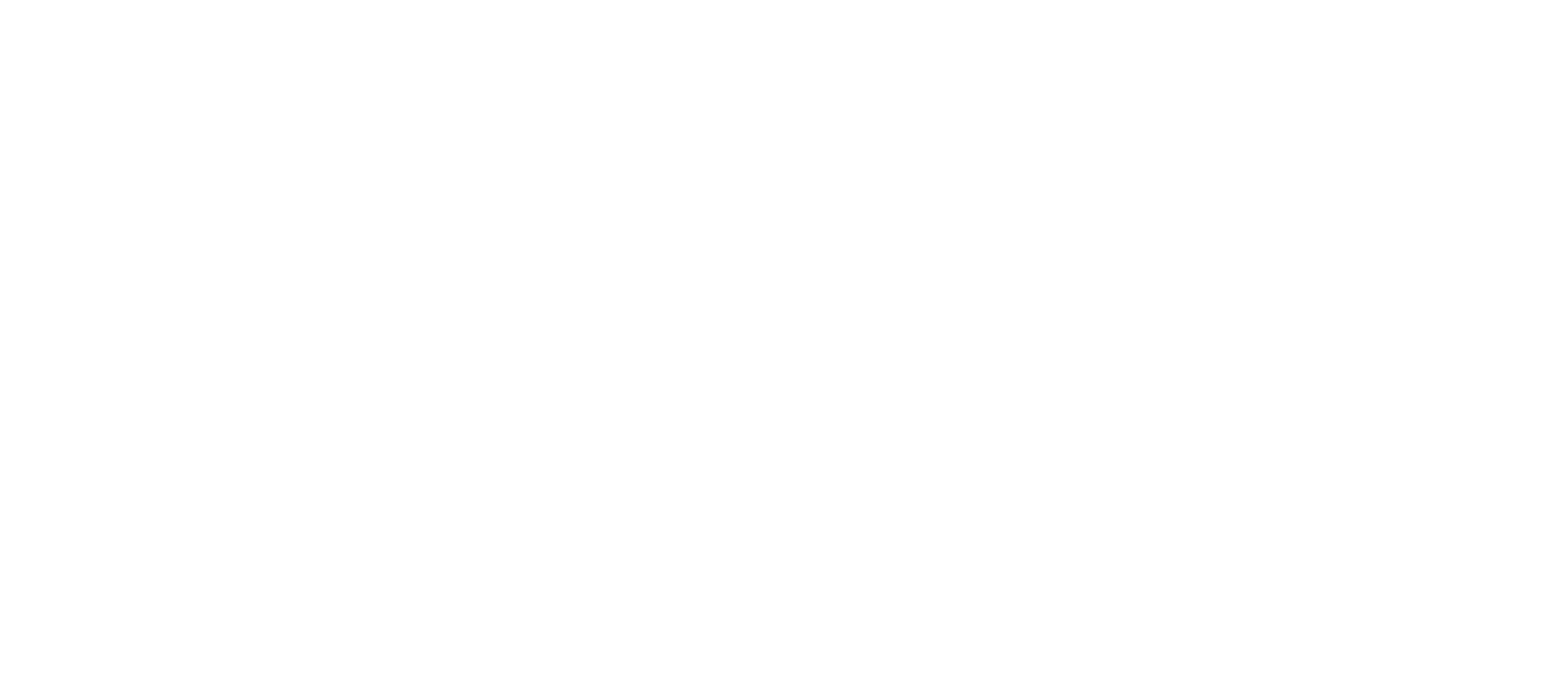 Cannes Lions Logo